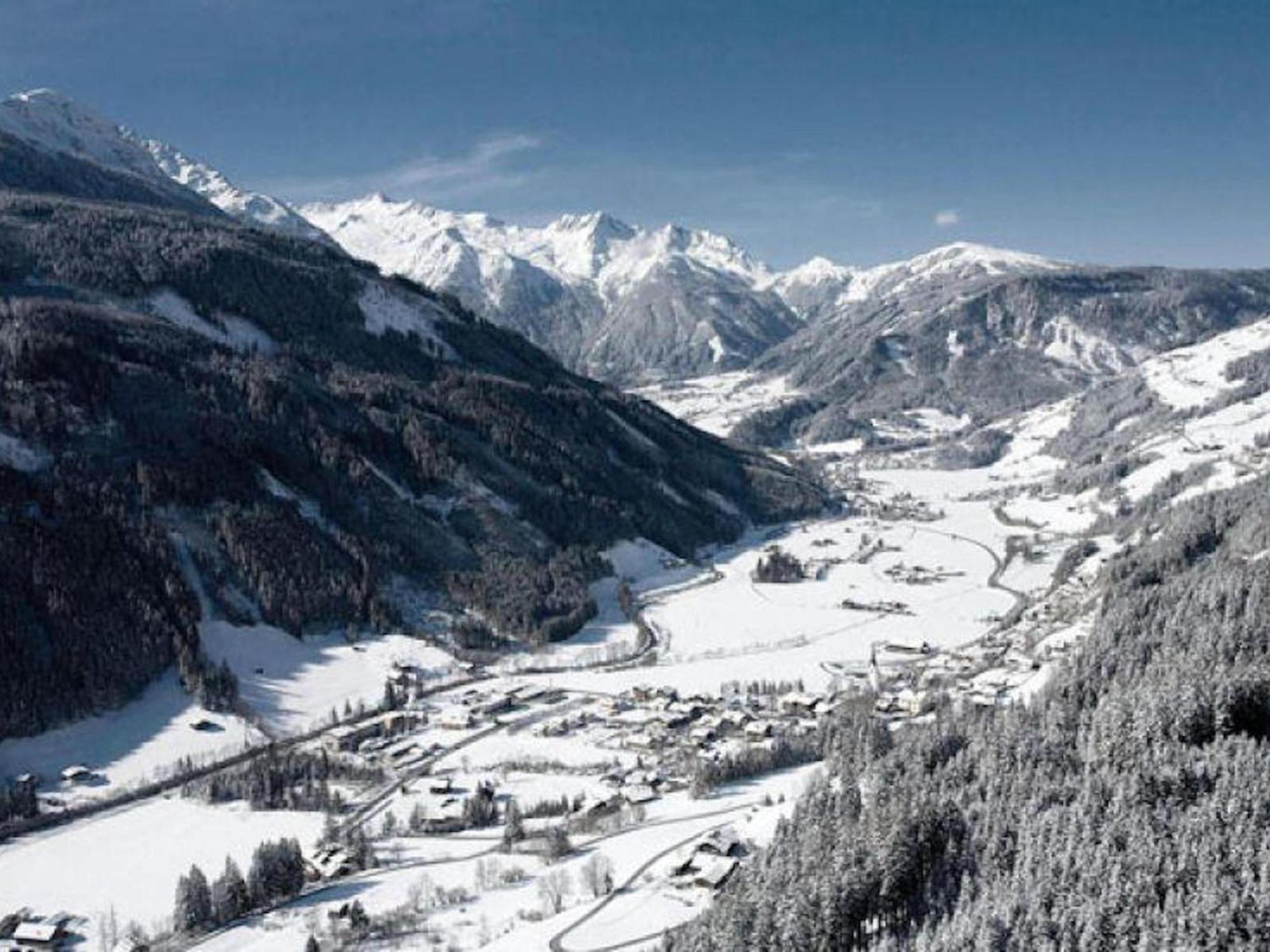 Wieserwald Wald im Pinzgau Luaran gambar
